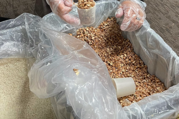 Untitled design (69)